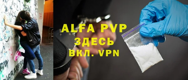 индика Алексин