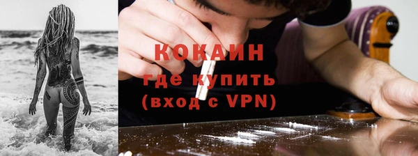 индика Алексин
