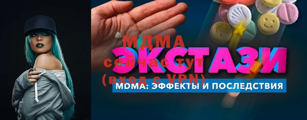индика Алексин