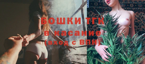 индика Алексин
