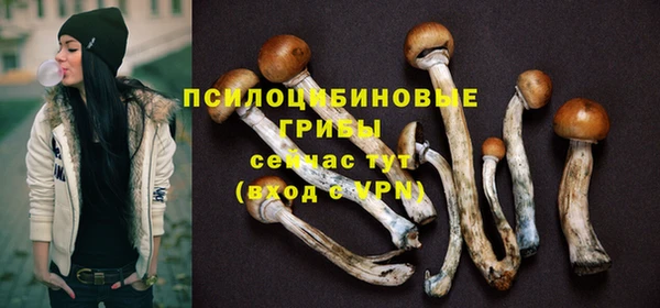 трава Алзамай