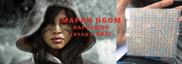 индика Алексин